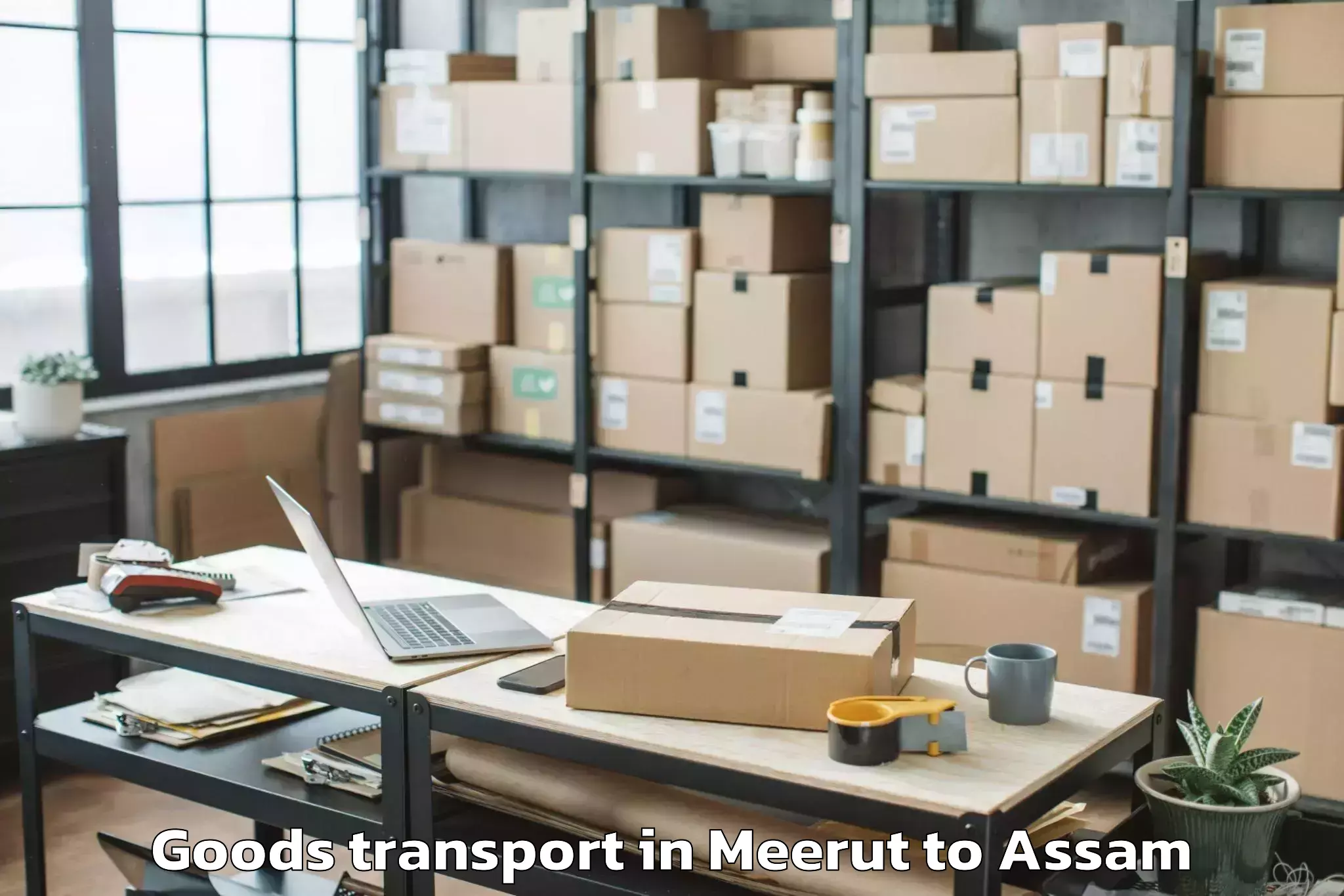 Discover Meerut to Chapar Pt Goods Transport